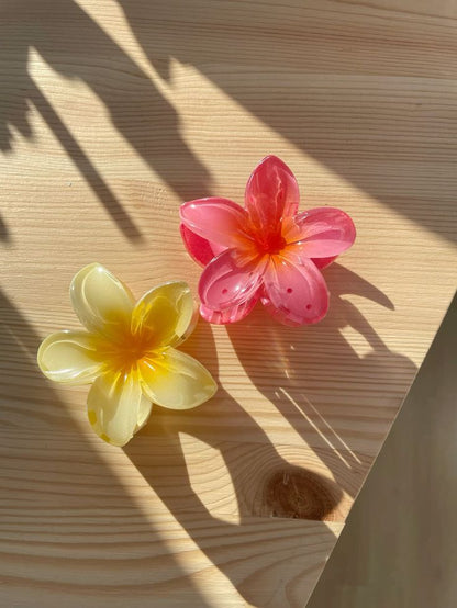 Tropical flowers claw clip large size 250 each