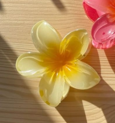 Tropical flowers claw clip large size 250 each